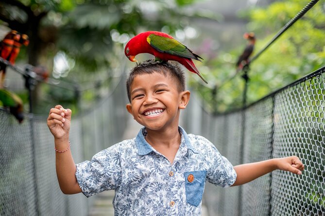 Bali Bird Park Admission Ticket - What the Bali Bird Park experience is really like