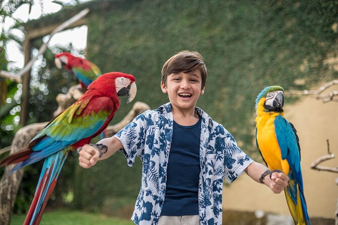 Bali Bird Park Admission Ticket - The 10:30 a.m. and 4 p.m. free-flight show