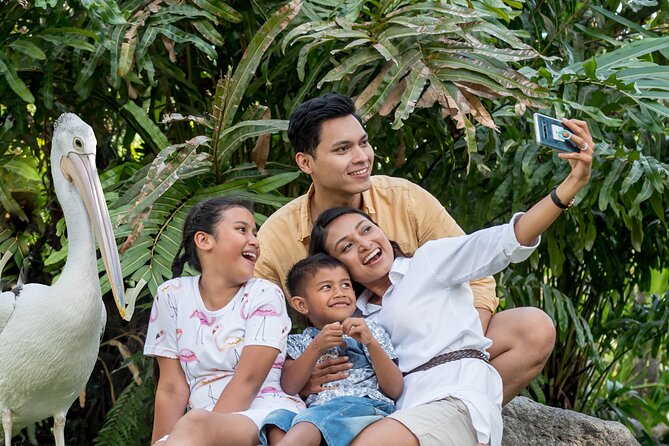 Bali Bird Park Admission Ticket - The 4D movie and extra activities