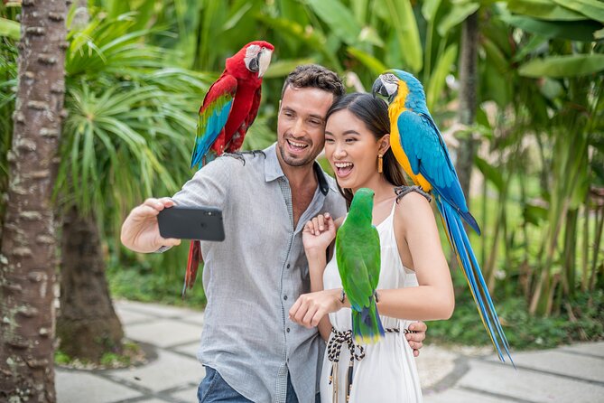 Bali Bird Park Admission Ticket - Is $18.82 good value?