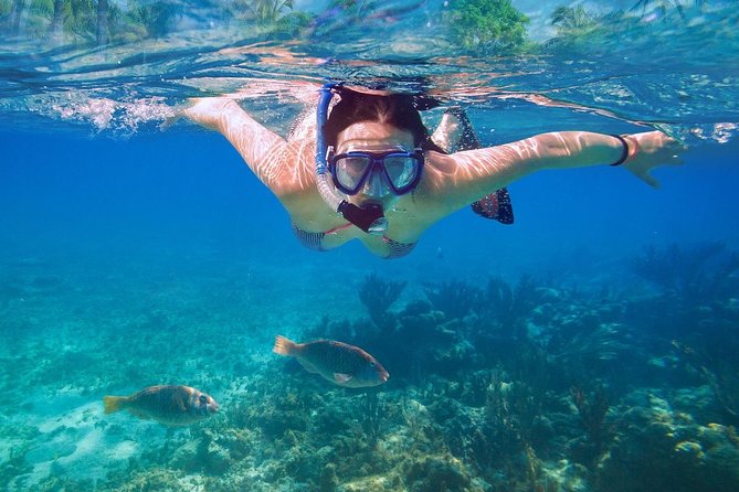 Bali Blue Lagoon Snorkeling Experience - Lunch, water, and the value of the $49.09 price