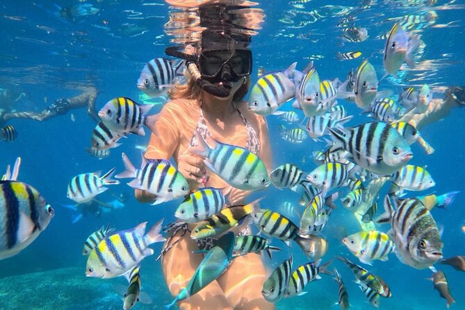 Bali Blue Lagoon Snorkeling - Lunch and Transport All Inclusive - Key points to know before booking