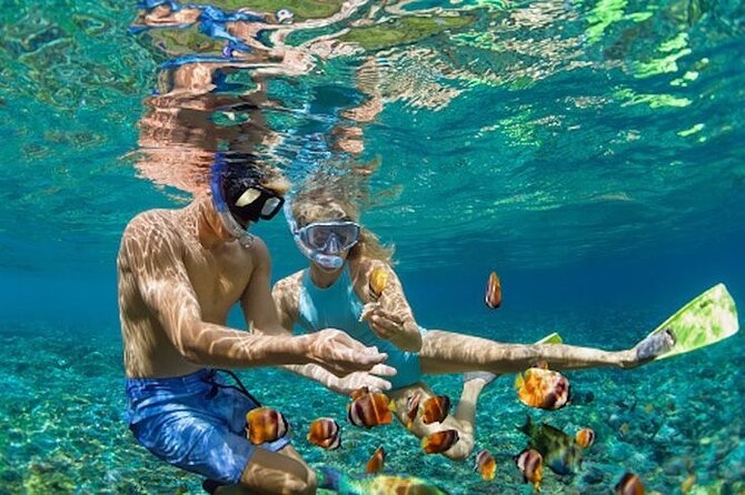 Bali Blue Lagoon Snorkeling - Lunch and Transport All Inclusive - The timing question: snorkel first or temple first