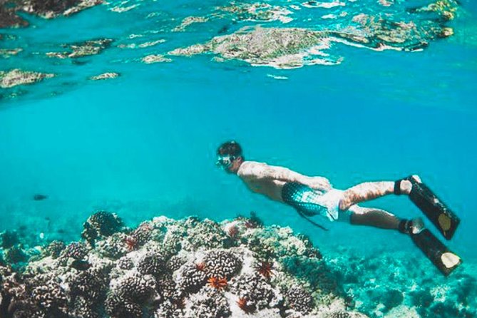 Bali Blue Lagoon Snorkeling - Lunch and Transport All Inclusive - Coffee, tea, and a look at local production