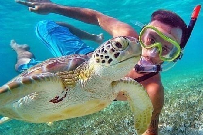Bali Blue Lagoon Snorkeling - Lunch and Transport All Inclusive - What $39 buys you