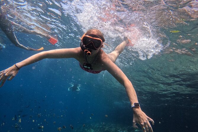 Bali Blue Lagoon Snorkeling - Lunch and Transport All Inclusive - Who will enjoy this private Bali tour