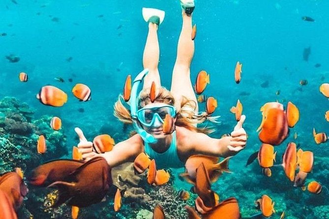Bali Blue Lagoon Snorkeling - Lunch and Transport All Inclusive - Lempuyang Temple and the Gates of Heaven