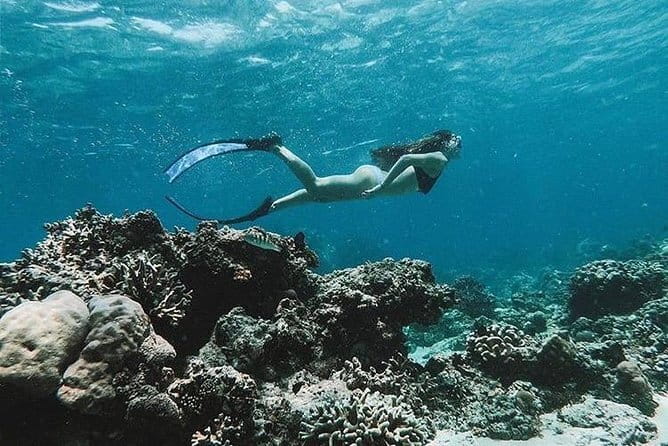 Bali Blue Lagoon Snorkeling Tour All Inclusive - What the $42 price really covers