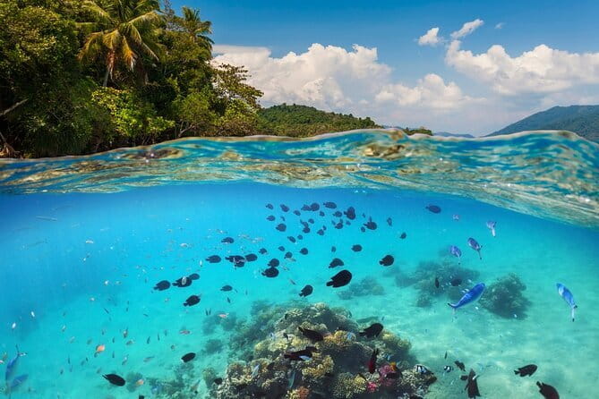 Bali Blue Lagoon Snorkeling Tour All Inclusive - Blue Lagoon: coral, clear water, and the best chance of surprises