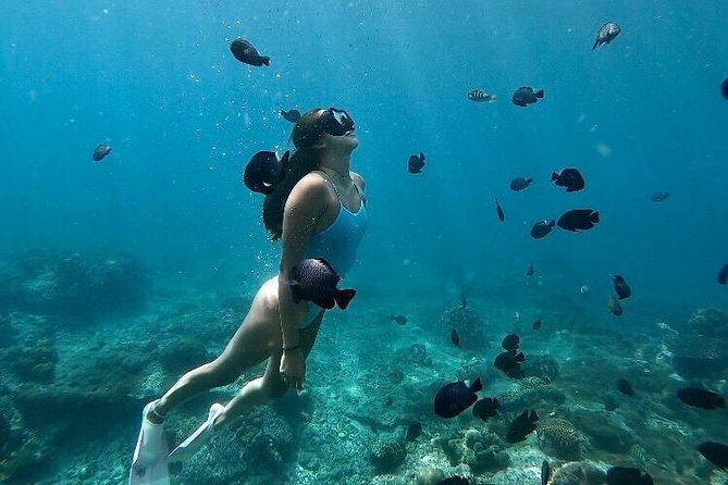 Bali Blue Lagoon Snorkeling with Optional Tour & Activities - Marine life to look for around the reef