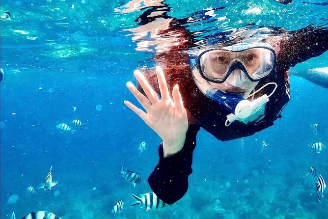 Bali Blue Lagoon Snorkeling with Optional Tour & Activities - Is $12.22 a good deal?