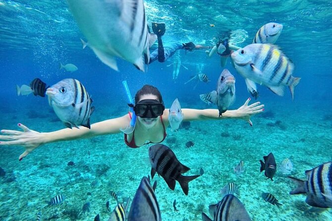 Bali Blue Lagoon Snorkeling with Optional Tour & Activities - Who will enjoy this most