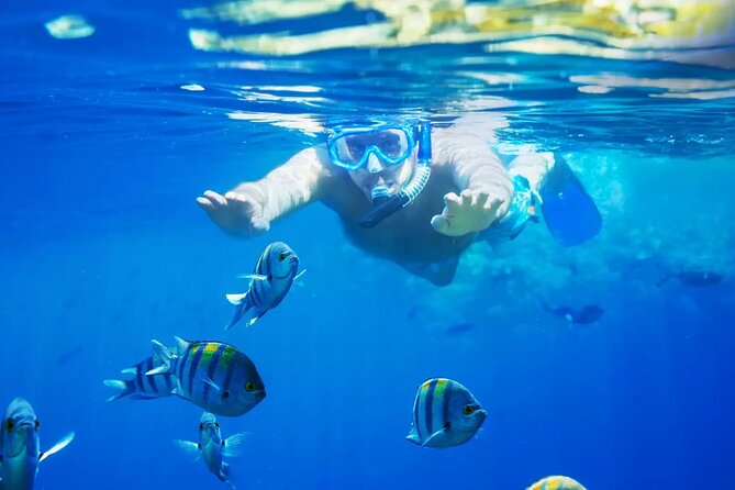 Bali Blue Lagoon Snorkeling with Private Transfer and Lunch - What makes this Blue Lagoon outing useful