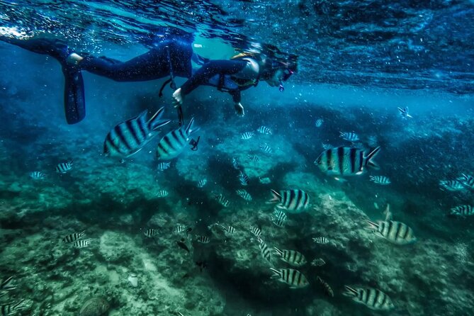 Bali Blue Lagoon Snorkeling with Private Transfer and Lunch - From Kuta to Padangbai by private car