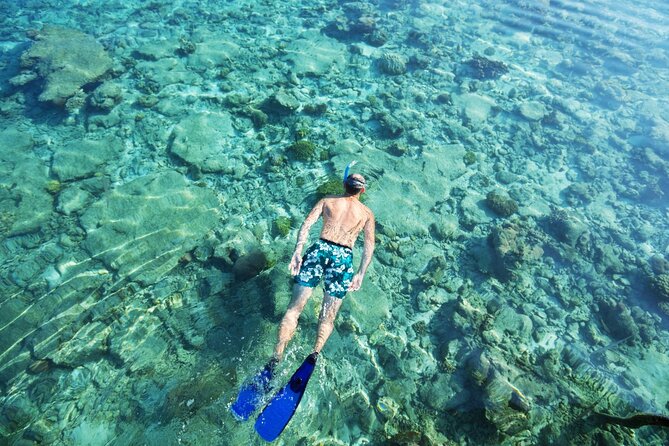 Bali Blue Lagoon Snorkeling with Private Transfer and Lunch - Is $42 a fair price?