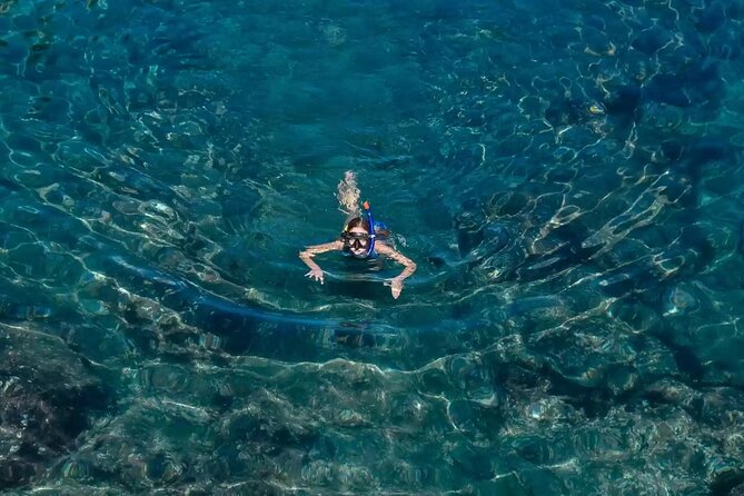 Bali Blue Lagoon Snorkeling with Private Transfer and Lunch - Who will get the most from this tour?