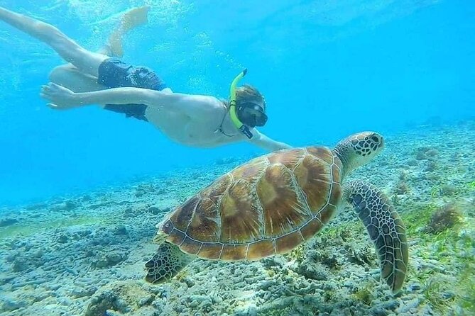 Bali Blue Lagoon Snorkeling with Private Transfer & Lunch - Practical advice for a smoother outing