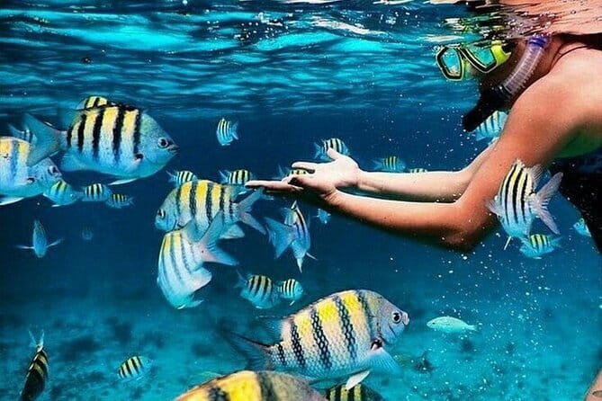 Bali Blue Lagoon Snorkeling with Waterfalls Tour - all included - Key points at a glance