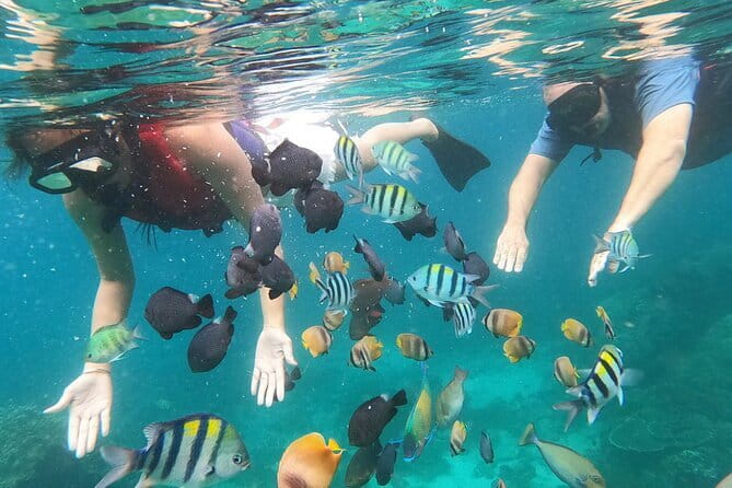Bali Blue Lagoon Snorkeling with Waterfalls Tour - all included - The coffee plantation and Indonesian lunch