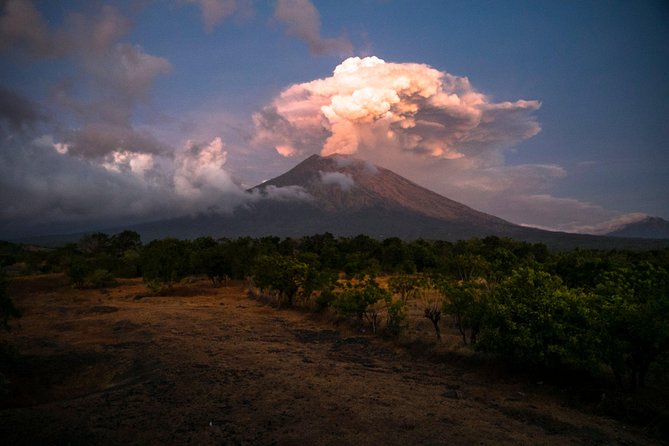 Bali Breathtaking Waterfall Tour (Private & All-Inclusive) - Mt. Batur Views and the Included Buffet Lunch