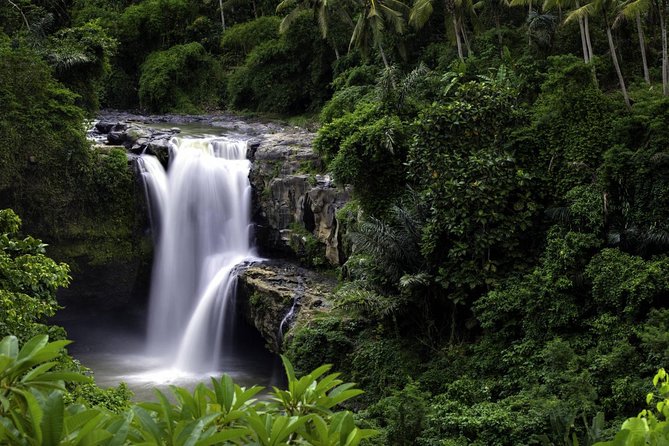 Bali Breathtaking Waterfall Tour (Private & All-Inclusive) - Who Should Choose This Experience