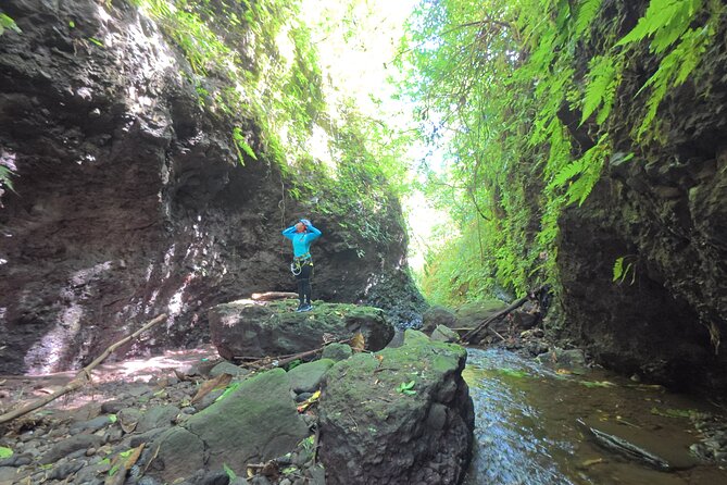 Bali Canyoning Trip – Explore Hidden Waterfalls & Gorges - Why this North Bali canyoning trip feels different