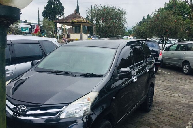 Bali Car Hire with Driver - What the drivers add beyond transportation