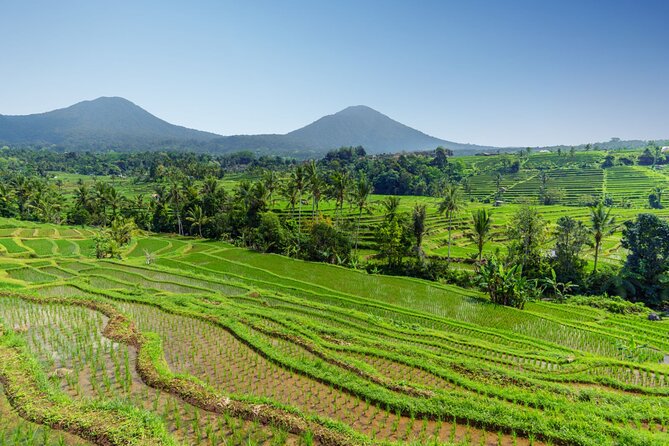 Bali Charm: Full-Day Bedugul and Tanah Lot Tour (UNESCO) - All Inclusive Tickets - What your private driver-guide adds