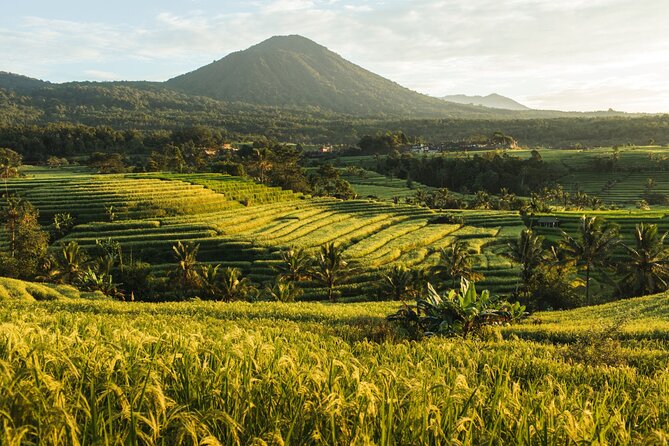 Bali Charm: Full-Day Bedugul and Tanah Lot Tour (UNESCO) - All Inclusive Tickets - Is $56.54 good value?