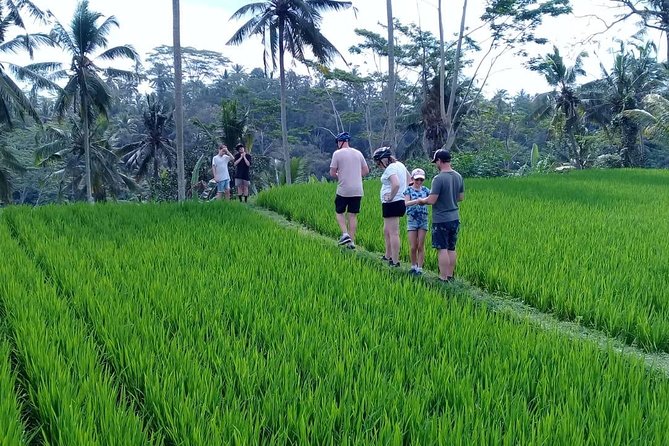 Bali Countryside Cycling Adventure - Key points before you book