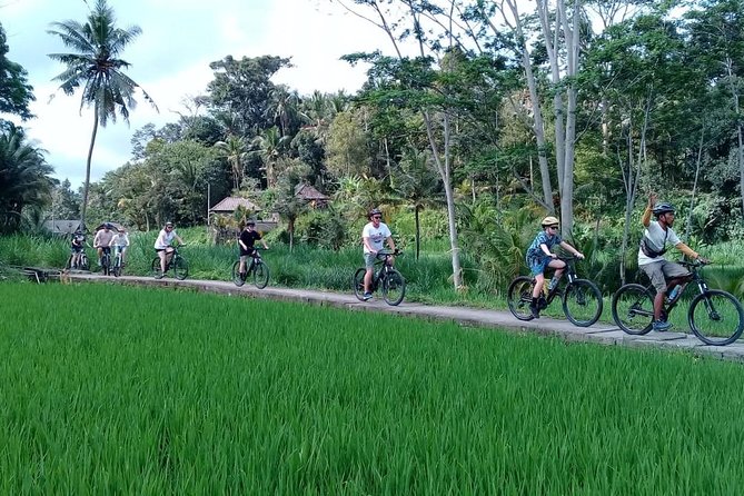 Bali Countryside Cycling Adventure - Penglipuran Village and Balinese traditions