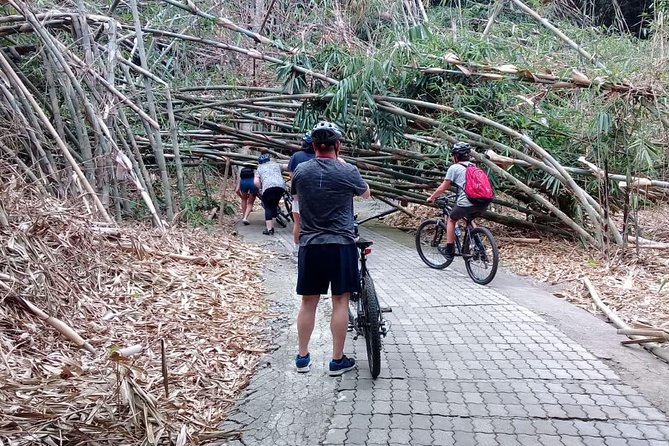 Bali Countryside Cycling Adventure - Safety, traffic, and the support van