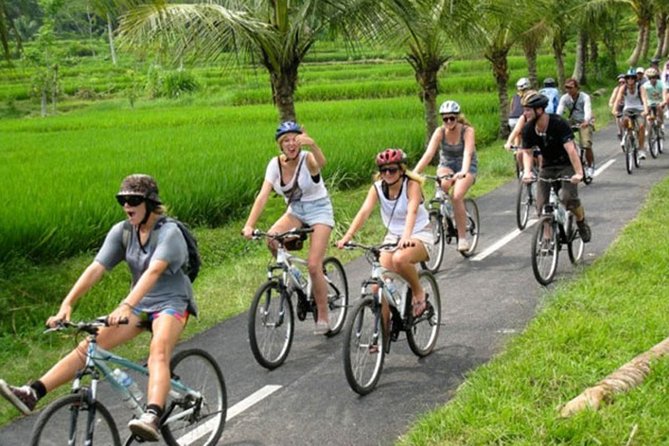 Bali Countryside Cycling Tour by Halo Bike Tour - The 7:30 a.m. pickup from Kuta