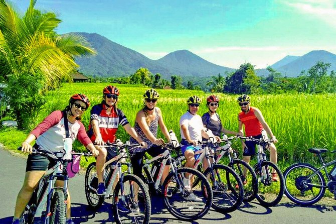 Bali Countryside Cycling Tour by Halo Bike Tour - Coffee plantation stop at 8:45 a.m.