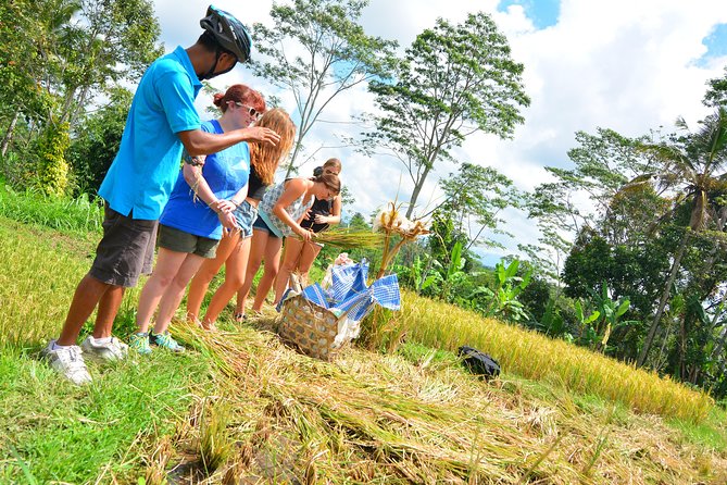 Bali Countryside Cycling Tours - Riding through rice fields, homes, and village lanes