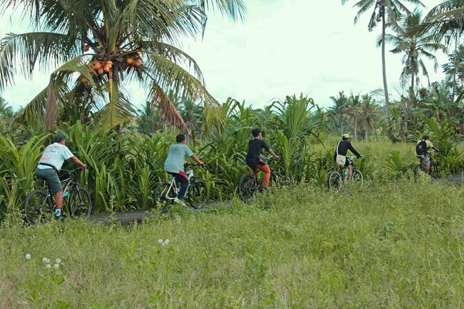 Bali Countryside Eco Cycling Tour include Lunch - Key points at a glance