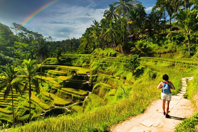 Bali Cultural Experience - Why this route works for a first look at Bali
