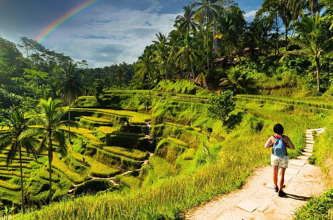 Bali Cultural Experience - Who will get the most from this day