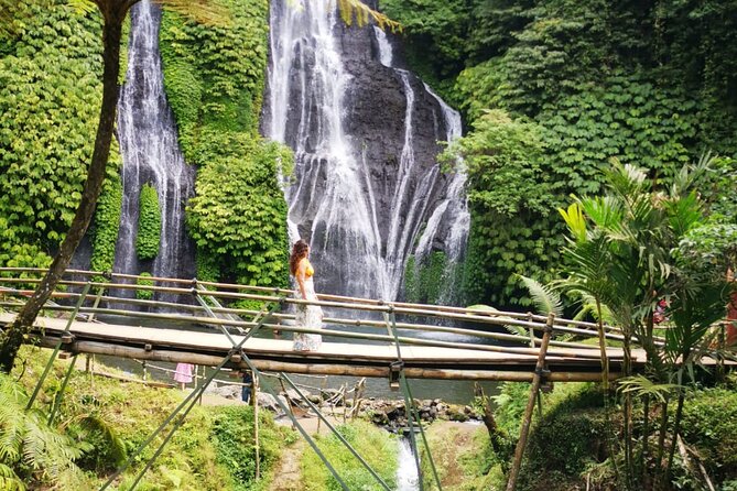 Bali-Customized Private Day Tour - Ubud: rice terraces, temples, and a shorter travel day