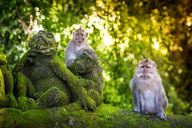Bali Customized Private Tour - A Bali day built around your priorities