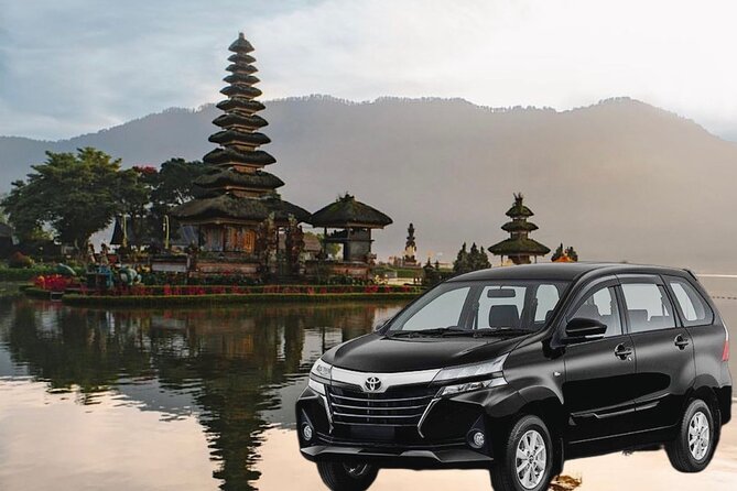Bali Customized Tour Private Car and Driver - Tegalalang Rice Terrace and the cost of a quick stop