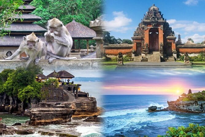 Bali Day Trip: Bali Instagram Tour (All Inclusive & Private) - The Lereng Agung jungle swing and bird nest
