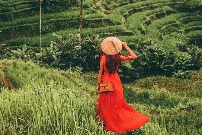 Bali Day Trip to Ubud Highlight Tour and Tanah Lot Temple - What the $85 price really covers