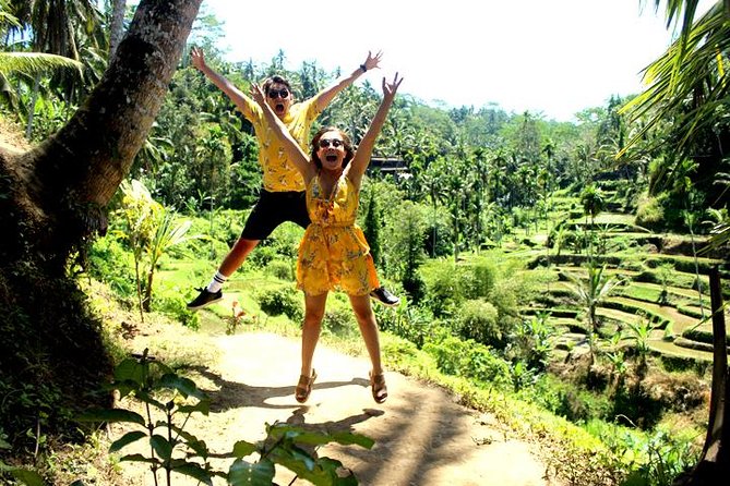 Bali Day Trip: Ubud Temples & Hidden Waterfalls - Tegalalang Rice Terrace and the final views