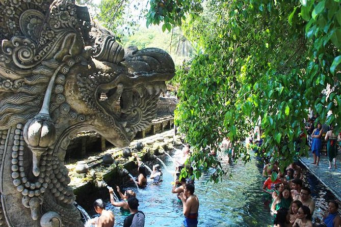 Bali Day Trip: Ubud Temples & Hidden Waterfalls - What the $39 price really covers
