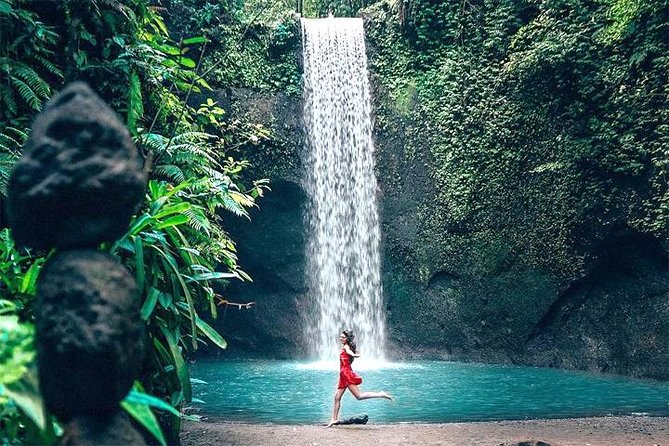 Bali Day Trip: Ubud Temples & Hidden Waterfalls - Gede’s role makes the private format useful