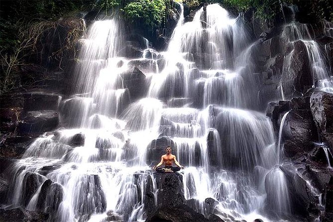 Bali Day Trip: Ubud Temples & Hidden Waterfalls - Who will enjoy this day trip most