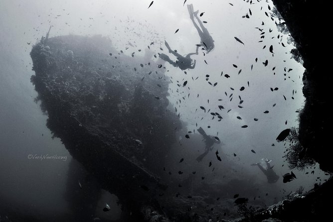 Bali Diving Day Trip-Manta Point/Tulamben Shipwreck-Fun Dive - The 2.5-hour road to Tulamben