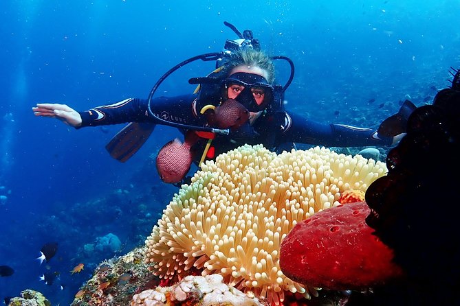 Bali Diving for Beginners: Tulamben Liberty Wreck - Lunch, Hot Drinks, and the Value of the $89 Price