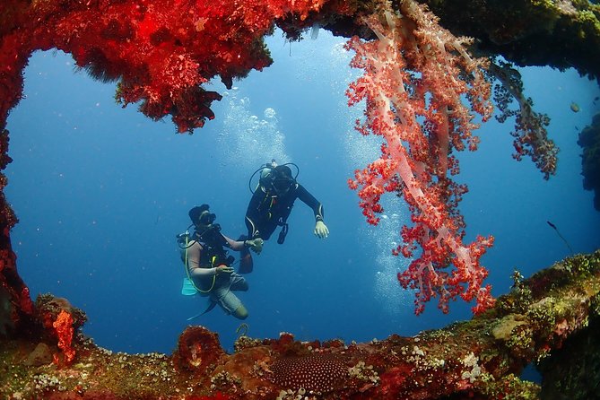 Bali Diving for Beginners: Tulamben Liberty Wreck - Physical Requirements and Safety Rules You Should Take Seriously
